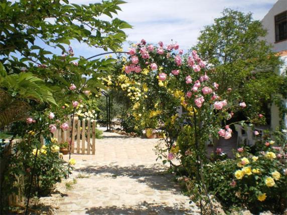 Casas Rurales Cazorla-Alcon Pozo Alcón Szoba fotó