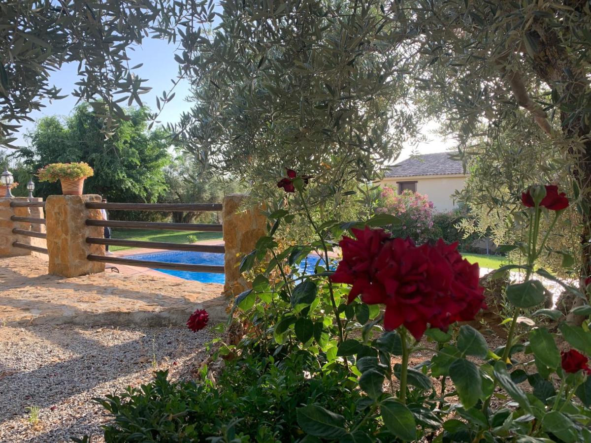 Casas Rurales Cazorla-Alcon Pozo Alcón Kültér fotó