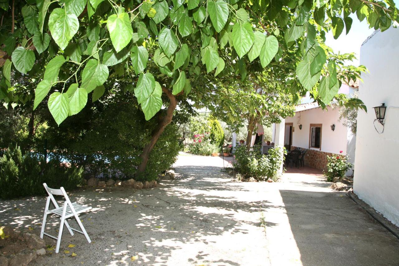 Casas Rurales Cazorla-Alcon Pozo Alcón Kültér fotó